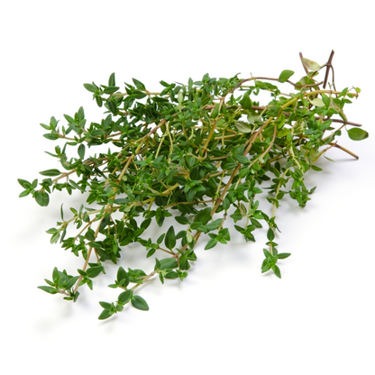 Warm Herb Seed Bundle